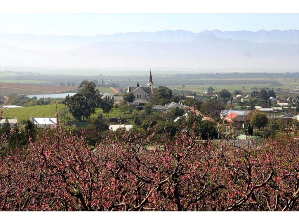 Old Oak Manor Hotell Riebeek-Kasteel Exteriör bild